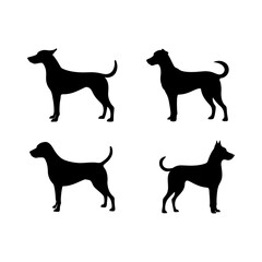 Silhouette depiction of four dogs in various poses showcasing canine forms and outlines design