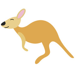 Kangaroo

