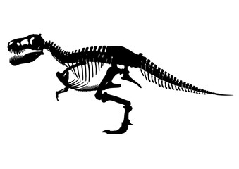 ティラノサウルス 骨格標本 化石 スケルトン シルエット © kx59