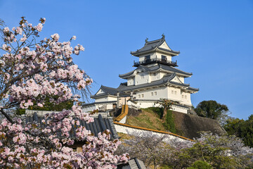 掛川城・2025年4月