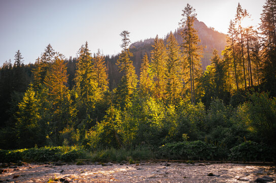 Sunny morning at he Tatri national park , Zakopane .