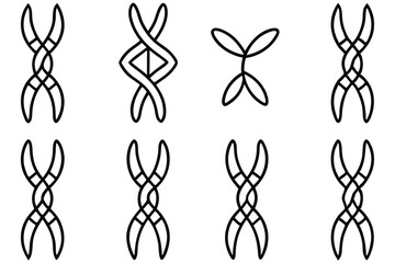 chromosome structur line art hand drawn genetic sketch