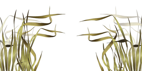 Grass waving in the wind watercolor illustration. Tall and thin grass stems. Horizontal banner of swaying wild grasses. Green reeds near a pond