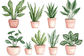 Obraz premium various indoor plants in terracotta pots showcasing different shapes and sizes ideal for home decor and gardening inspiration