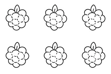 cloudberry line art smooth fluid linework botanical art