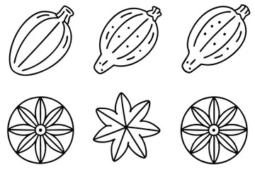 clove fruit line art nature sketch modern artwork style