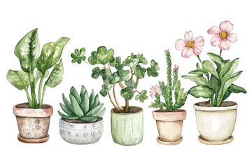 Fototapeta premium five potted plants showcasing various types and styles of pots illustrating a vibrant and green indoor garden aesthetic