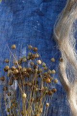 Flax Plant Pods, Blue Linen Canvas, and Flax Fiber. Sustainable Alternative to Synthetic Fibers....