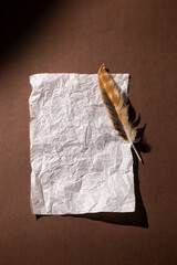 Warm brown background with a blank sheet of paper and a feather. Top view, minimal cozy retro style in warm colors, space for text.
