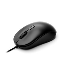 Computer Mouse Isolated on White Background