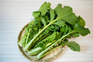奈良県在来の葉物野菜の大和まな