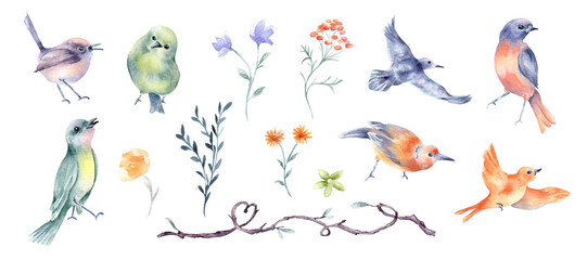 Birds and simple flowers watercolor set isolated on white. Orange, blue floral illustrations and tiny birds hand drawn. Botanical elements and sparrows pastel tones for greeting cards, kids' decor.