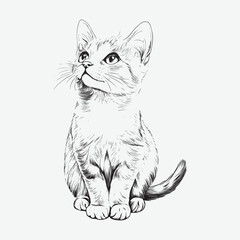 Cat Vector Art Illustration With White Background