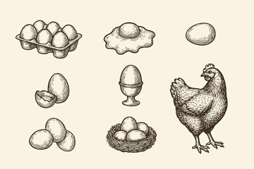 Vintage set of hand-drawn chicken and eggs illustrations