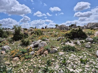 An ancient paved road dating back to the Roman era