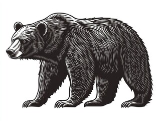 Majestic black bear profile, forest background, wildlife art, nature design