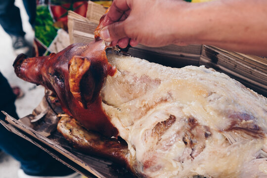 Hand's getting a piece of skin on the head of the popular, delicious and crispy roasted pig known as "lechon baboy" with exposed fat and meat body. Selective focus. Copy space.