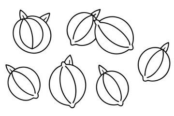 meyer lemon line art fresh vibrant yellow citrus drawing