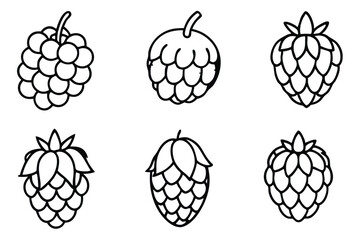 sea berry line art aesthetic herbal garden artwork