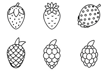 sea berry line art elegant minimal floral design