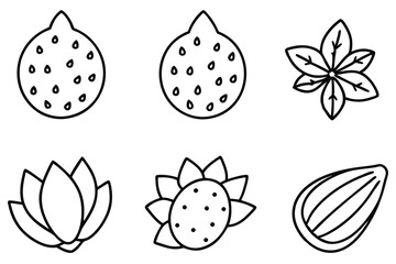 sea grape line art stylish natural decor element