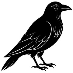 Fototapeta premium crow on a white background