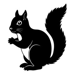 Obraz premium squirrel with nut