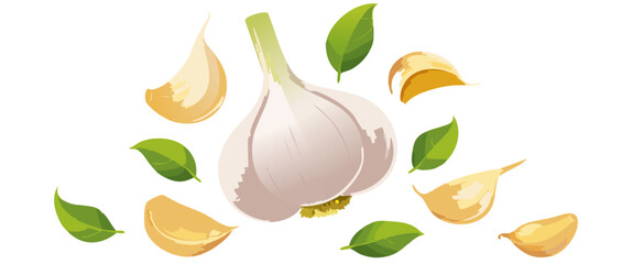 fresh garlic falling vector icon design