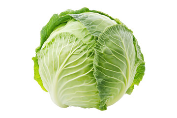 Obraz premium Whole green savoy cabbage with textured crinkled leaves isolated on transparent background.
