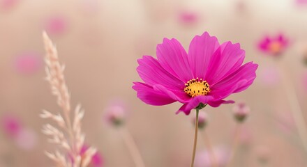 Obraz premium Cosmos Bloom's Whisper AI Generated