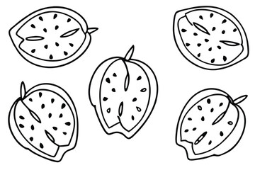soursop line art detailed drawing of exotic fruit