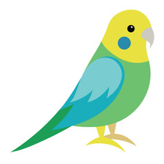 Budgerigar vector icon isolated on white background