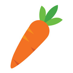 Carrot vector icon isolated on white background