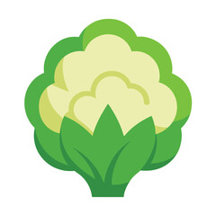 Cauliflower vector icon isolated on white background