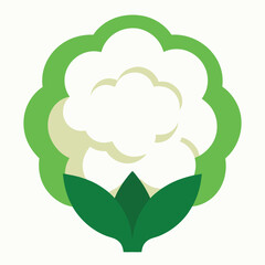 Cauliflower vector icon isolated on white background