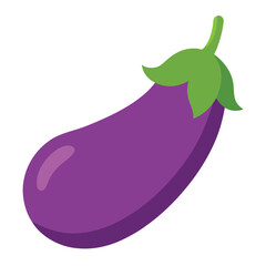 Eggplant vector icon isolated on white background