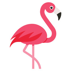 Flamingo vector icon isolated on white background