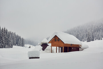 Wooden cabin in snowy forest