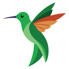 Hummingbird vector icon isolated on white background