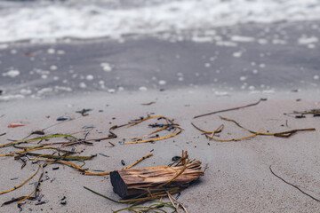 A bit of lumber resting near the shoreline.