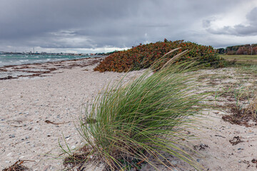 Coastal path through dunes with beach and sea view under summer sky