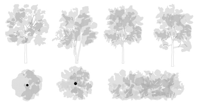 Trees in elevation and plan view for use in architectural drawings