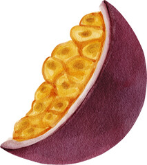 Passion Fruit Watercolor Illustration 