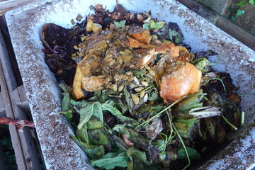 Gardener composting kitchen and garden waste in wheelbarrow