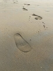 Footprints in the sand on the beach. footsteps on the sand.