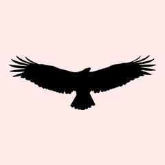 Majestic Eagle Silhouette Vector Illustration.