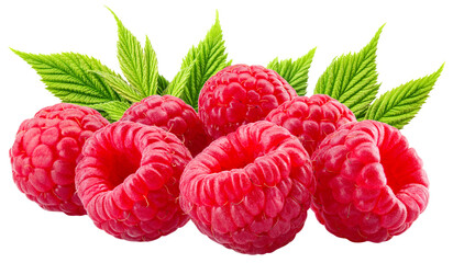 Raspberry isolated png. Raspberries with leaves on transparent background. Group of raspberries no...