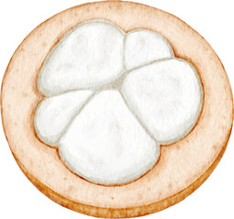 Santol Fruit Watercolor Illustration