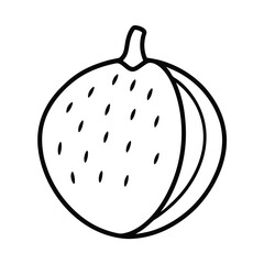 marang fruit line art vector illustration