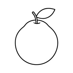 guava fruit line art vector illustration